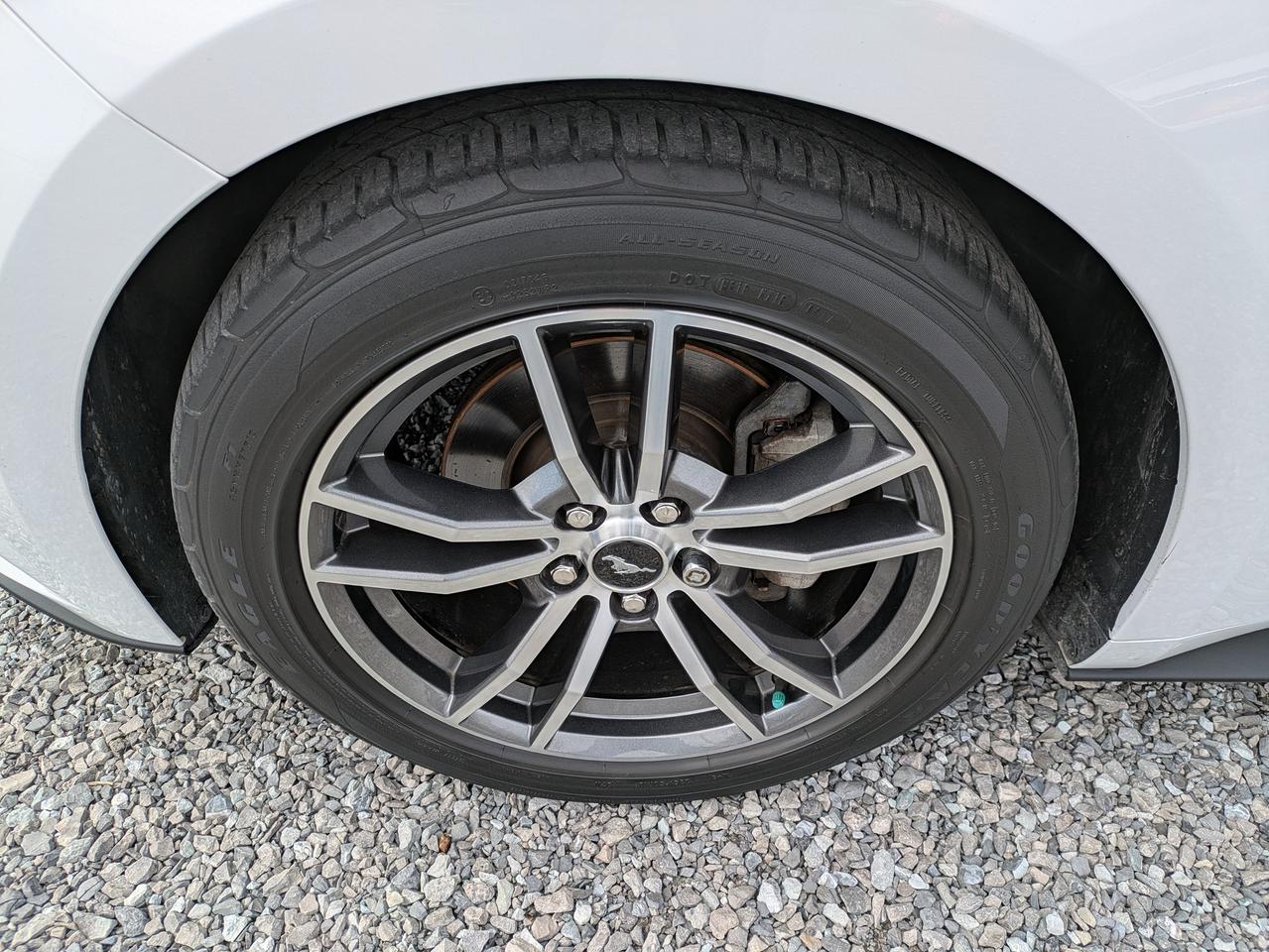 2017 Ford Mustang 2DR CONV ECOBOOST PREMIUM Photo