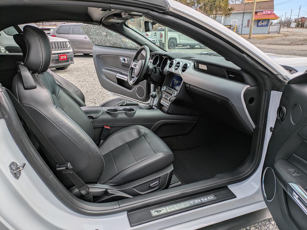 2017 Ford Mustang 2DR CONV ECOBOOST PREMIUM Photo