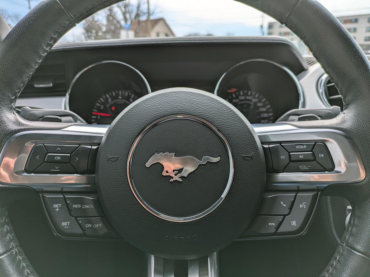 2017 Ford Mustang 2DR CONV ECOBOOST PREMIUM Photo