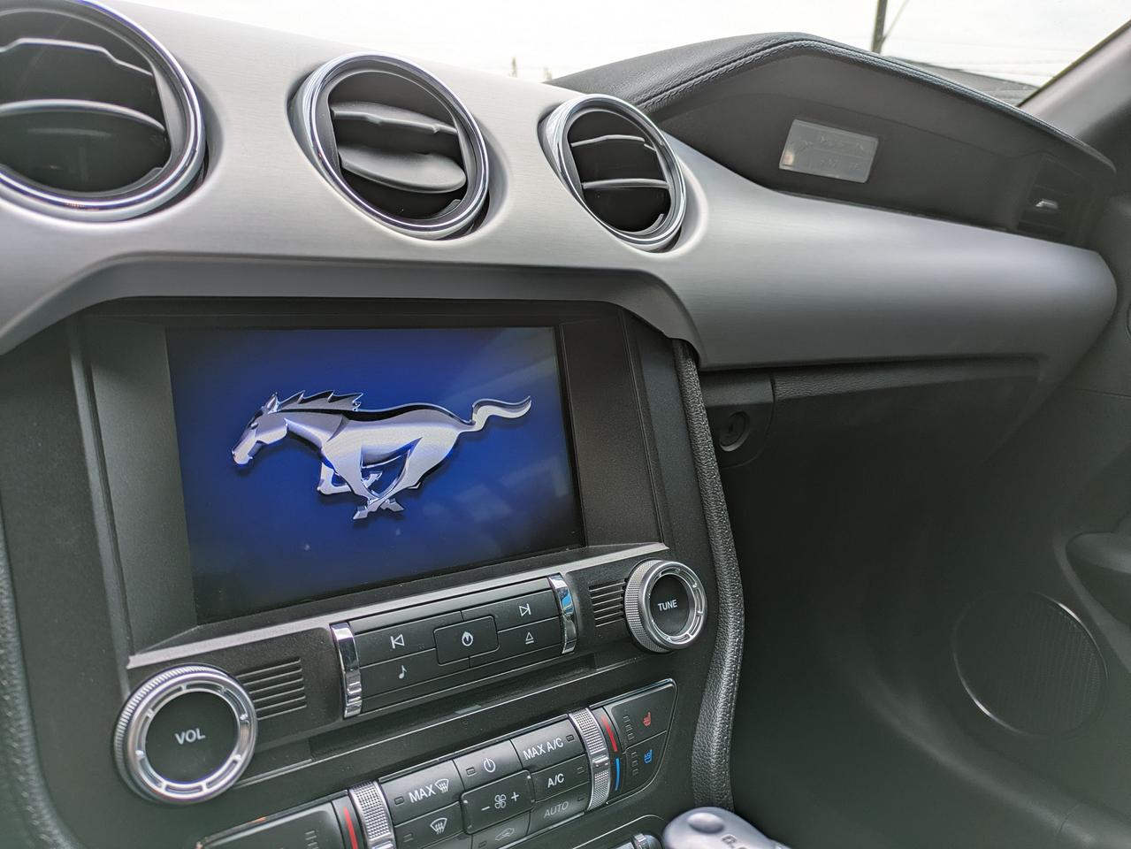 2017 Ford Mustang 2DR CONV ECOBOOST PREMIUM Photo