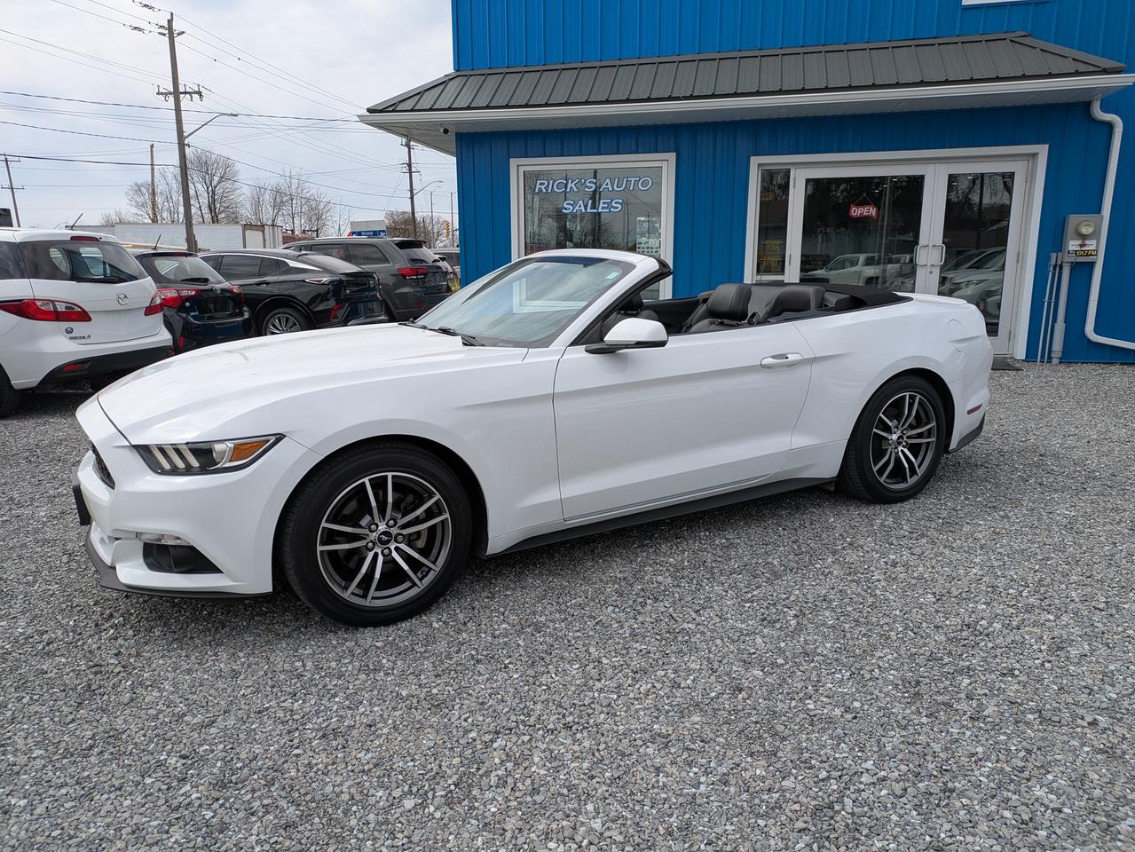 2017 Ford Mustang 2DR CONV ECOBOOST PREMIUM Photo