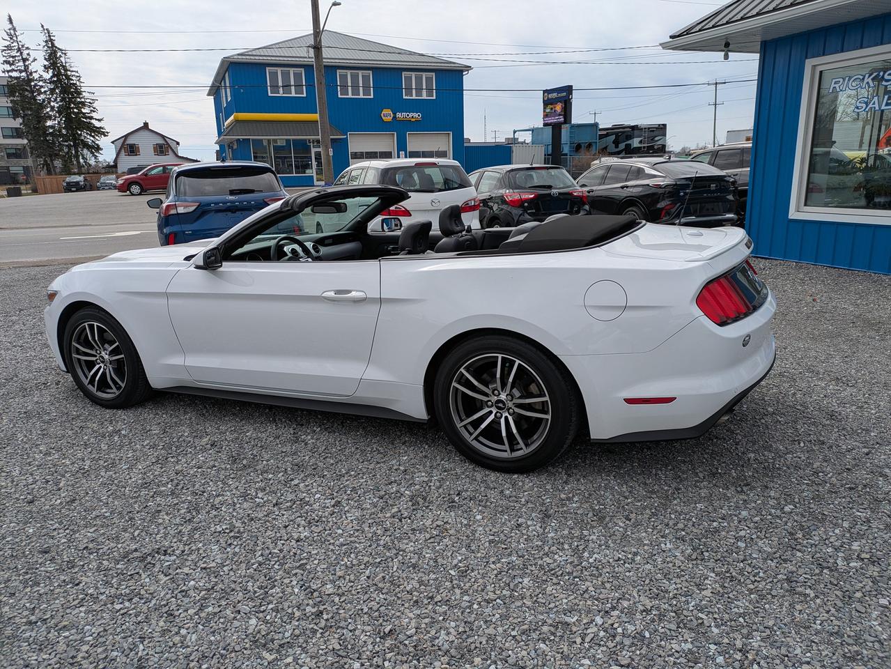2017 Ford Mustang 2DR CONV ECOBOOST PREMIUM Photo