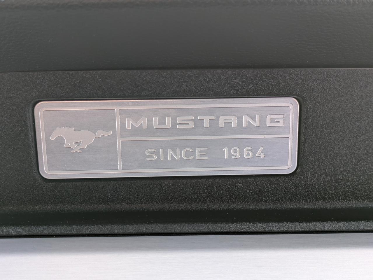 2017 Ford Mustang 2DR CONV ECOBOOST PREMIUM Photo