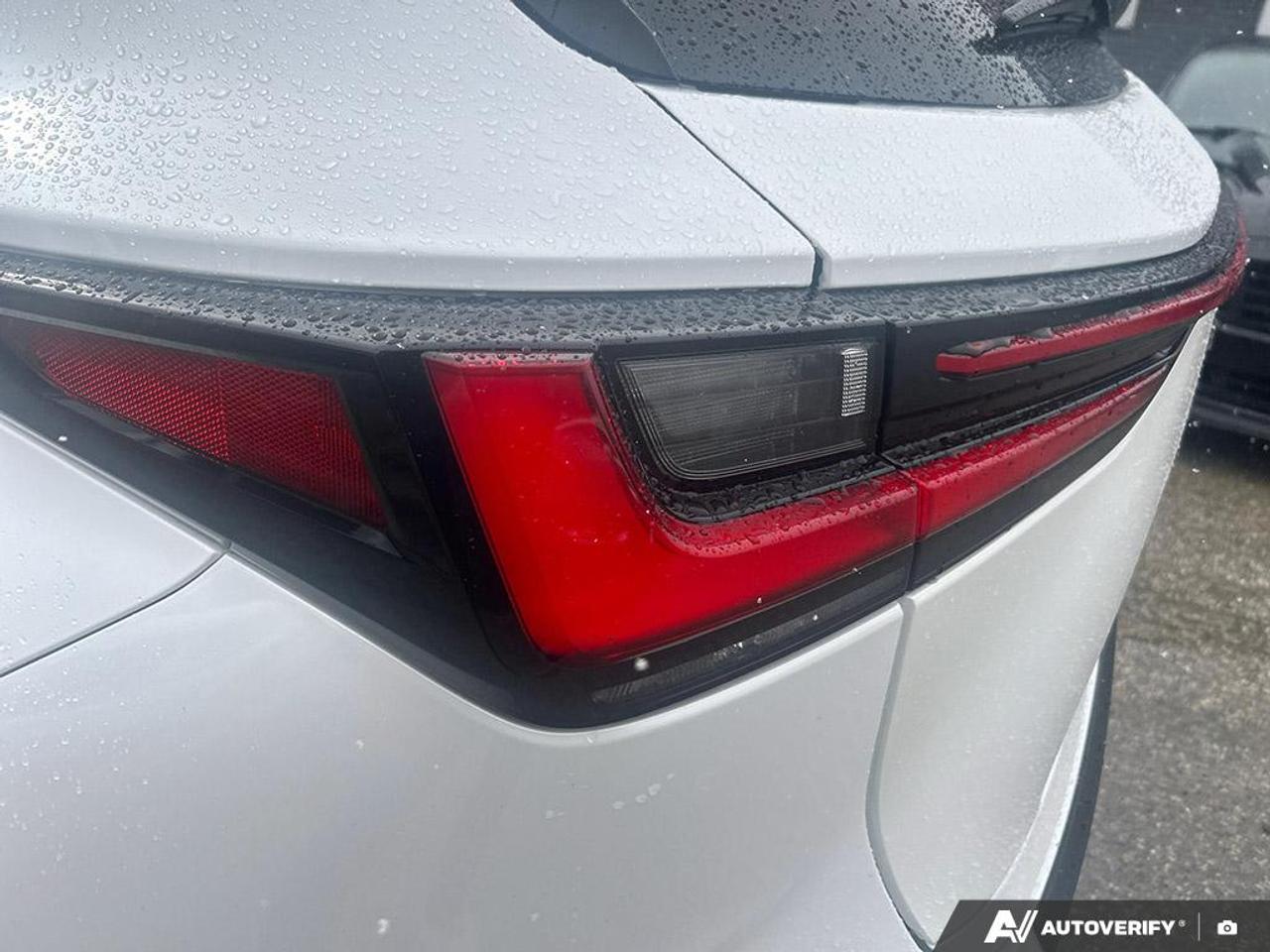 2023 Lexus NX NX 350H / NO ACCIDENTS / PANO ROOF / RED LEATHER Photo