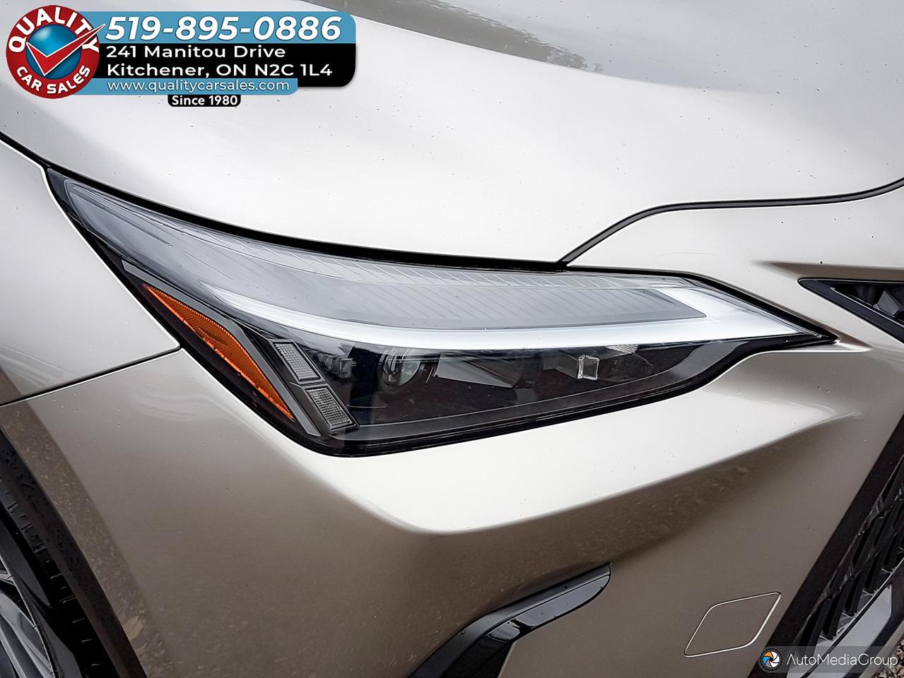 2023 Lexus NX 250 AWD *LEATHER-HEATED SEATS* Photo