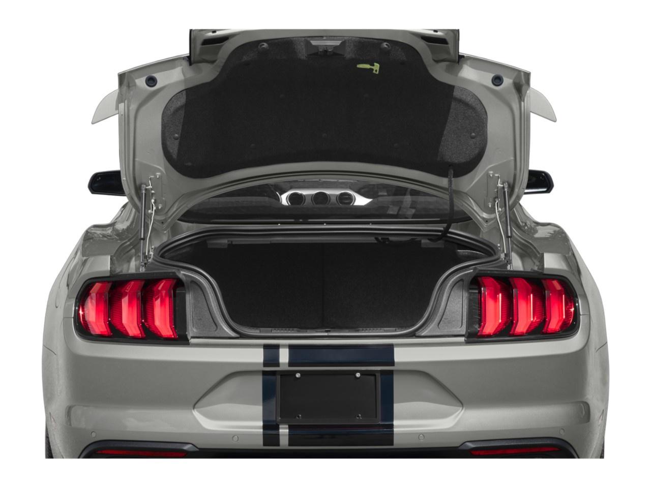 2022 Ford Mustang GT Fastback Photo