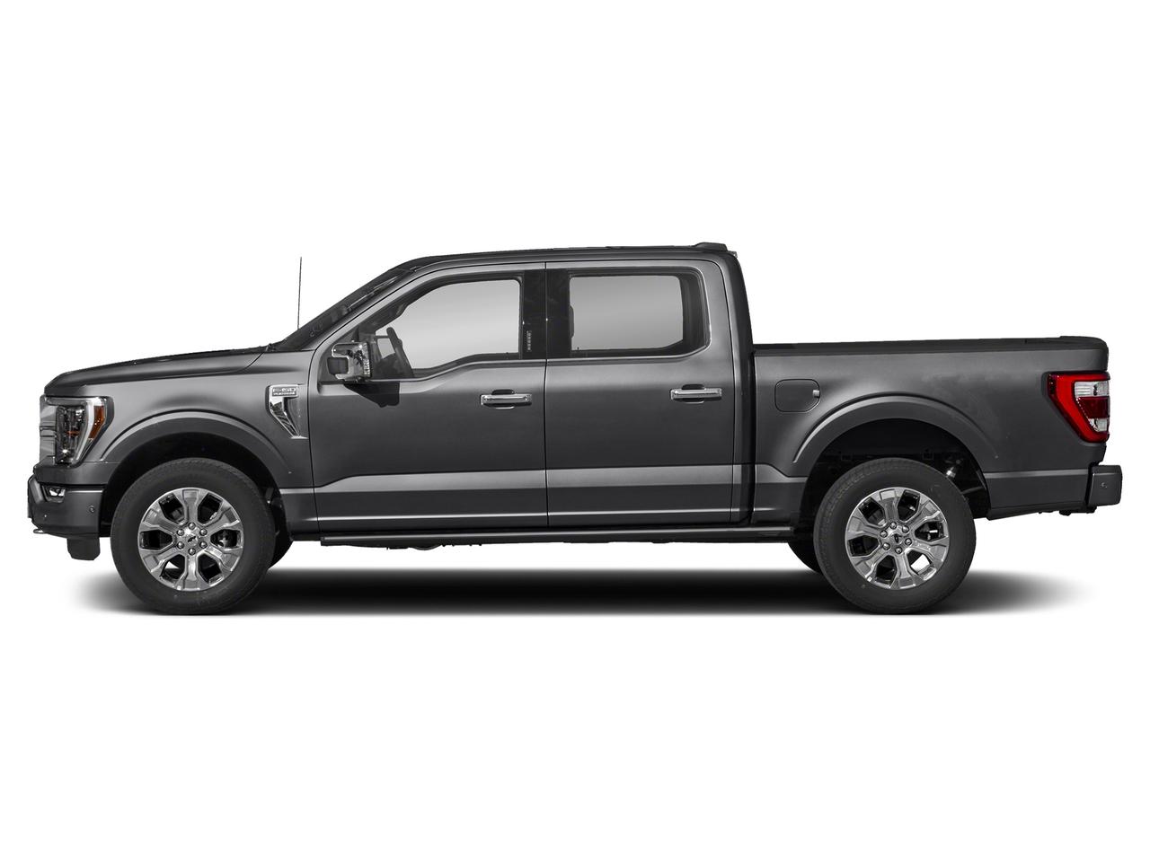 2021 Ford F-150 Platinum Photo2
