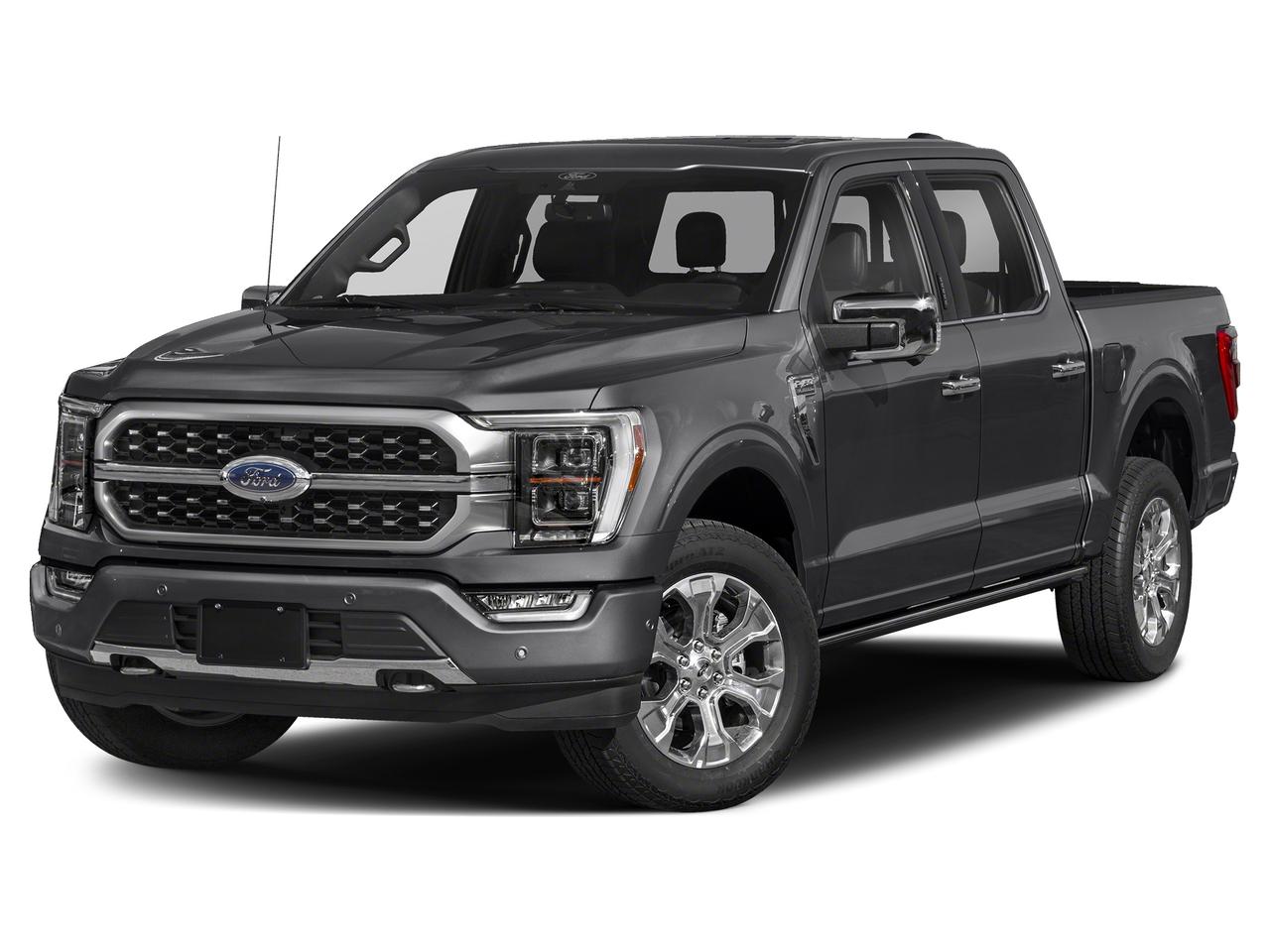 2021 Ford F-150 Platinum Photo0