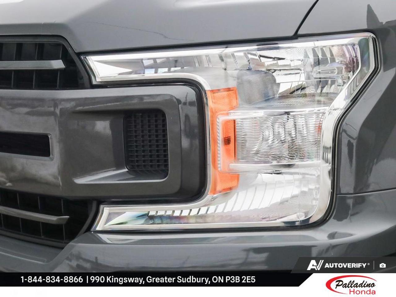 2020 Ford F-150 XL Photo