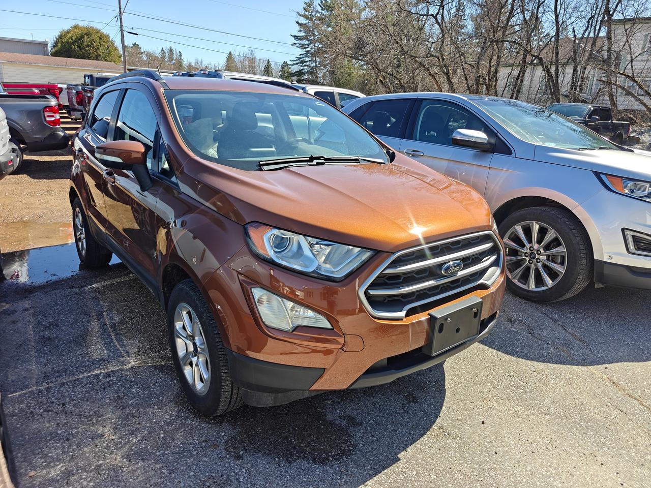 2018 Ford EcoSport ECOSPORT SE 4WD Photo3