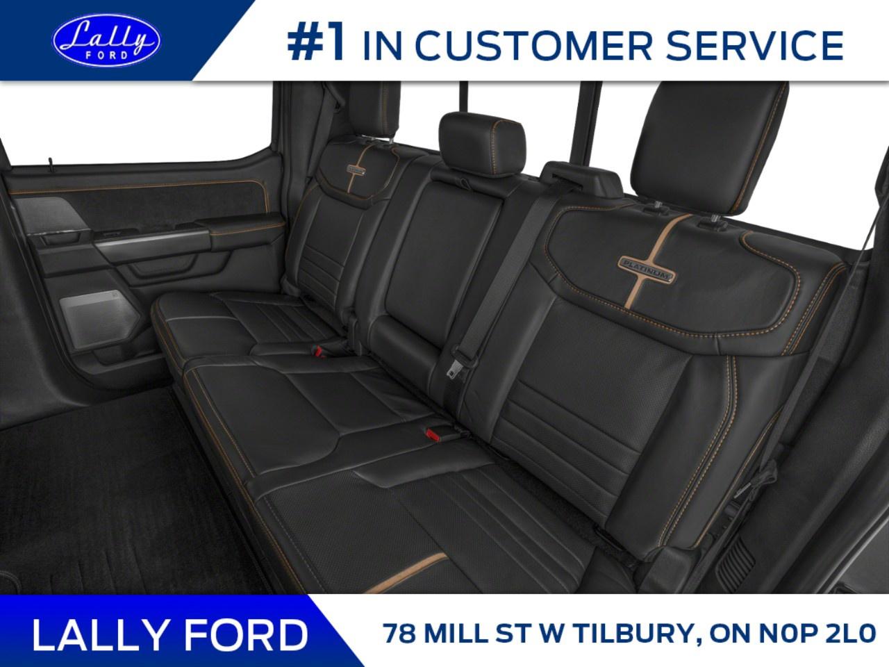 2026 Ford F-250 Super Duty SRW PLATINUM 4WD CREW CAB 6.75' BOX Photo