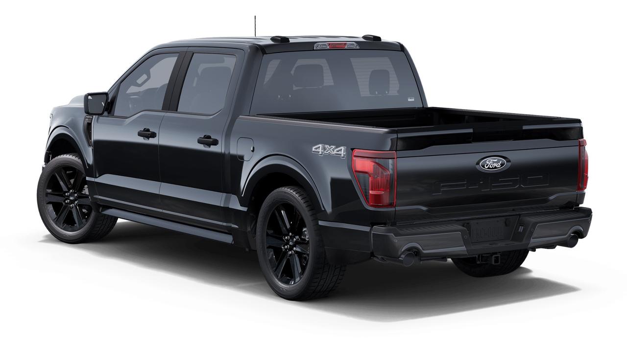 2025 Ford F-150  Photo1