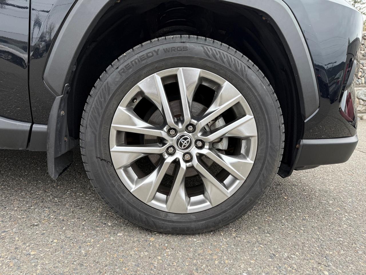 2022 Toyota RAV4 XLE Premium Photo