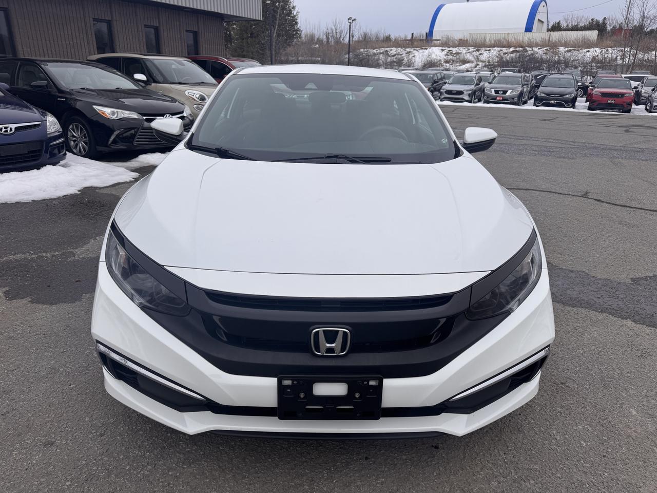 2020 Honda Civic LX Photo