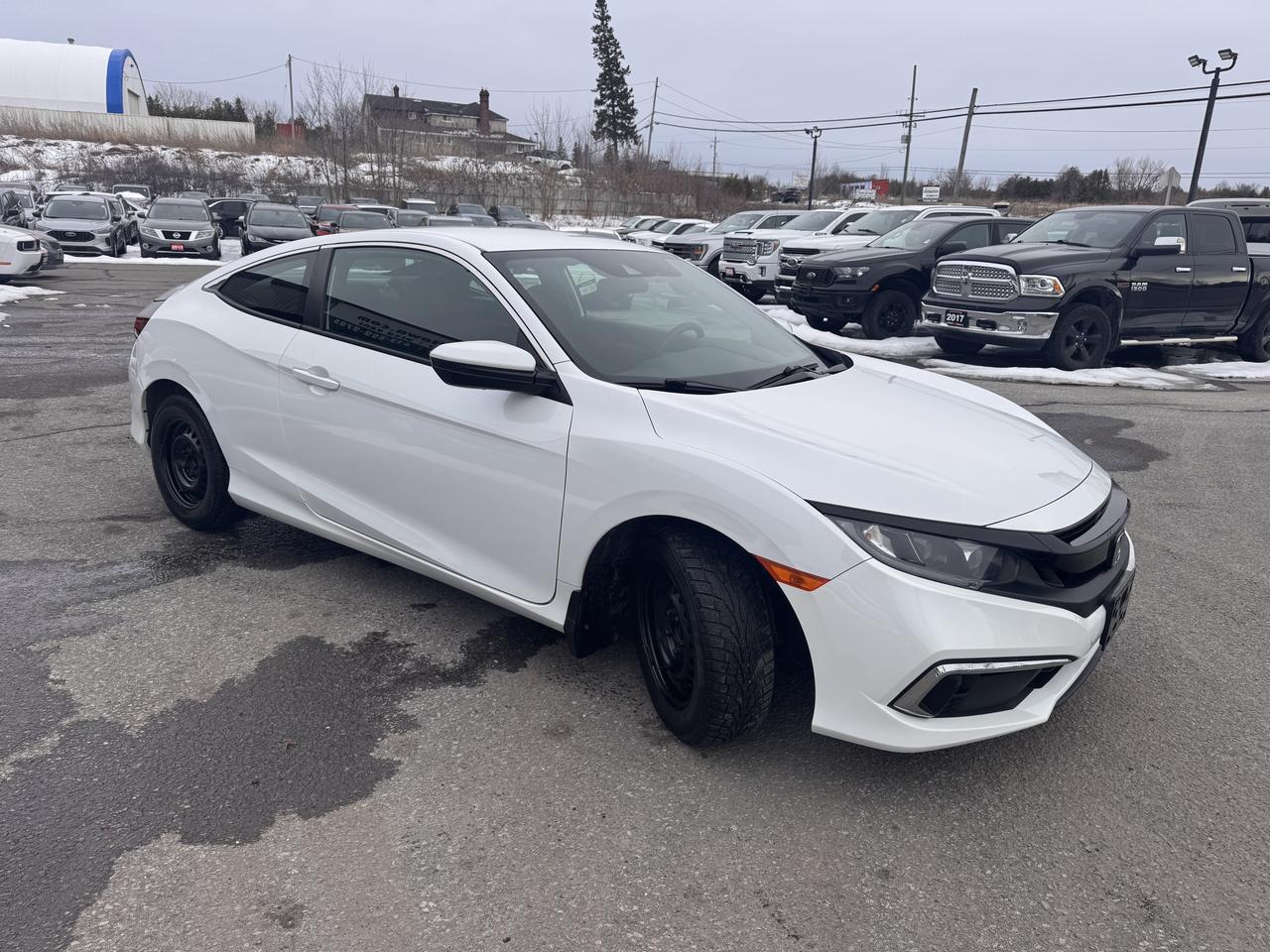 2020 Honda Civic LX Photo