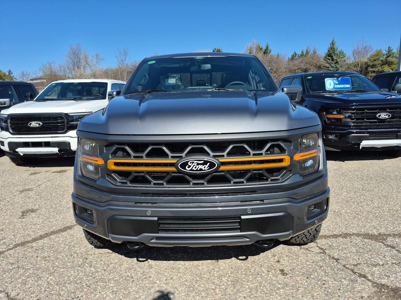 2026 Ford F-150 TREMOR, PRO POWER ONBOARD, PANO ROOF, BLUECRUISE Photo
