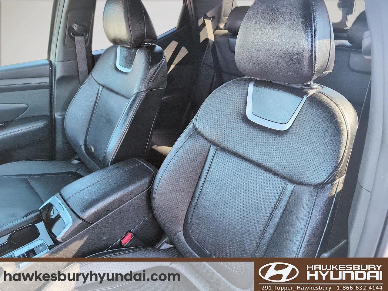 2025 Hyundai Santa Cruz Ultimate Photo