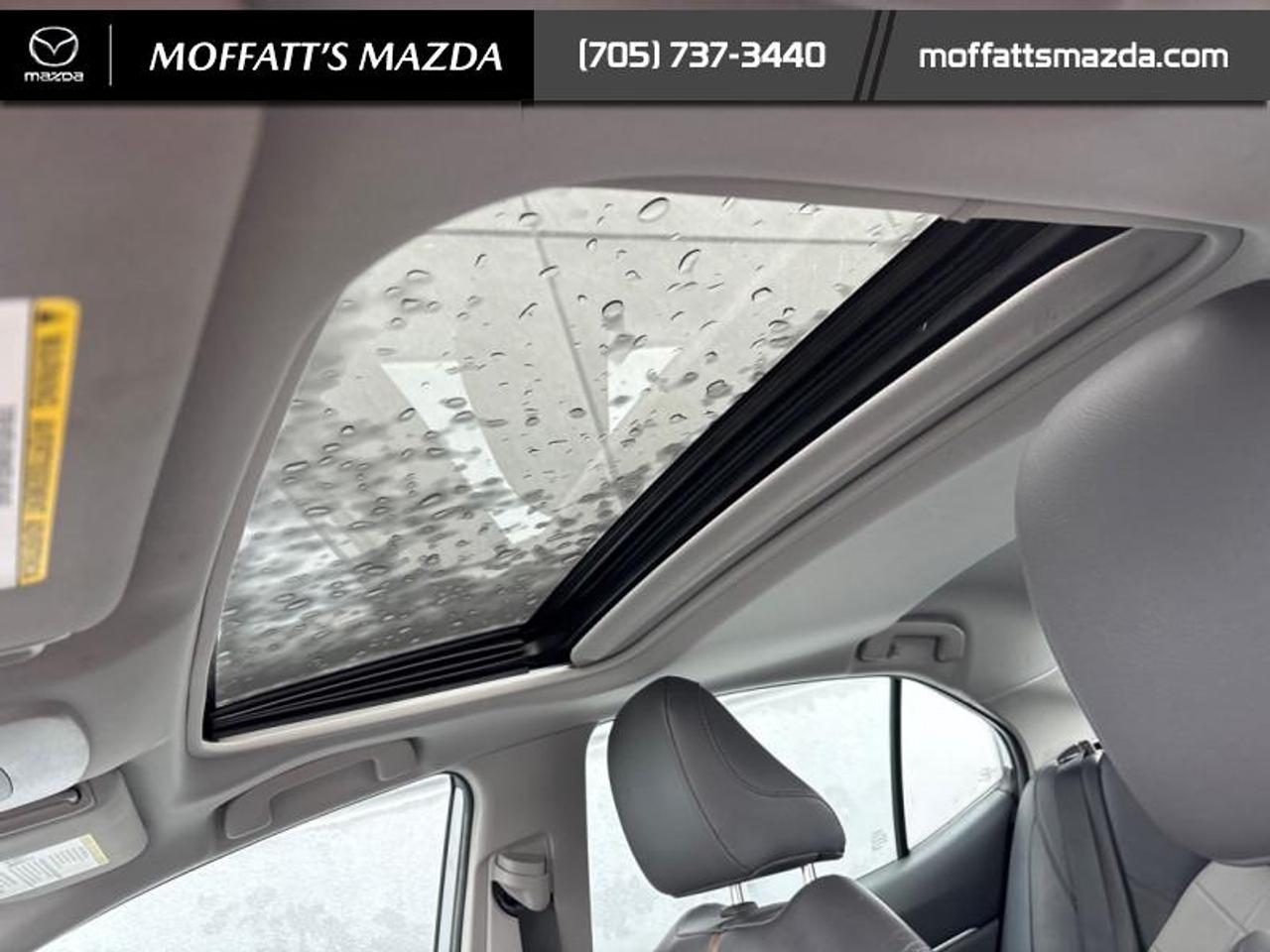 2019 Toyota Camry HYBRID XLE Photo