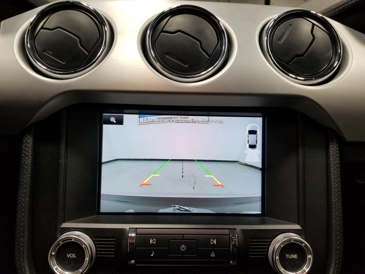 2015 Ford Mustang EcoBoost Premium 2dr Convertible Photo