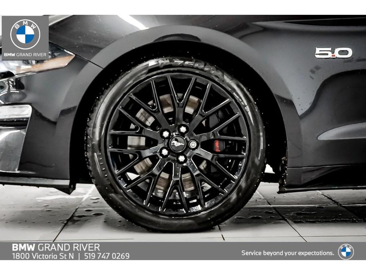 2022 Ford Mustang GT Premium 2dr Convertible Photo