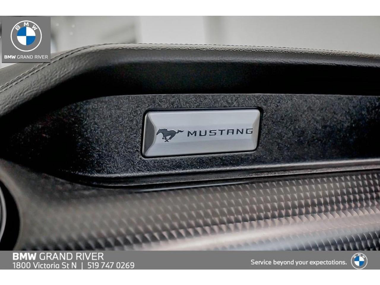 2022 Ford Mustang GT Premium 2dr Convertible Photo