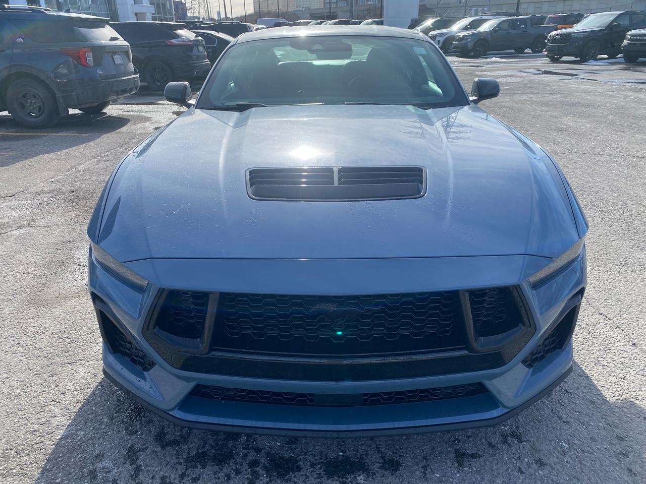 2026 Ford Mustang  Photo