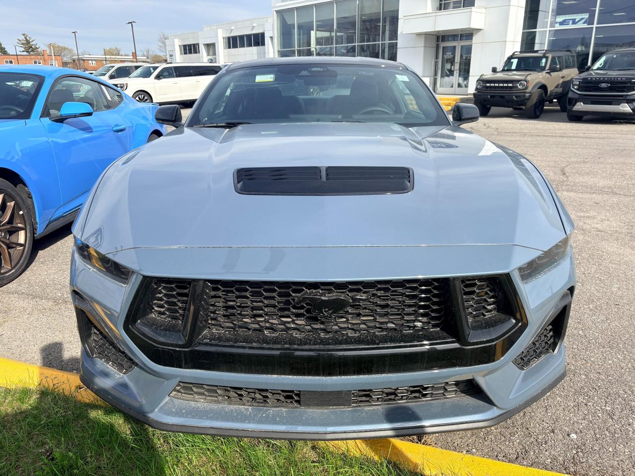 2026 Ford Mustang  Photo