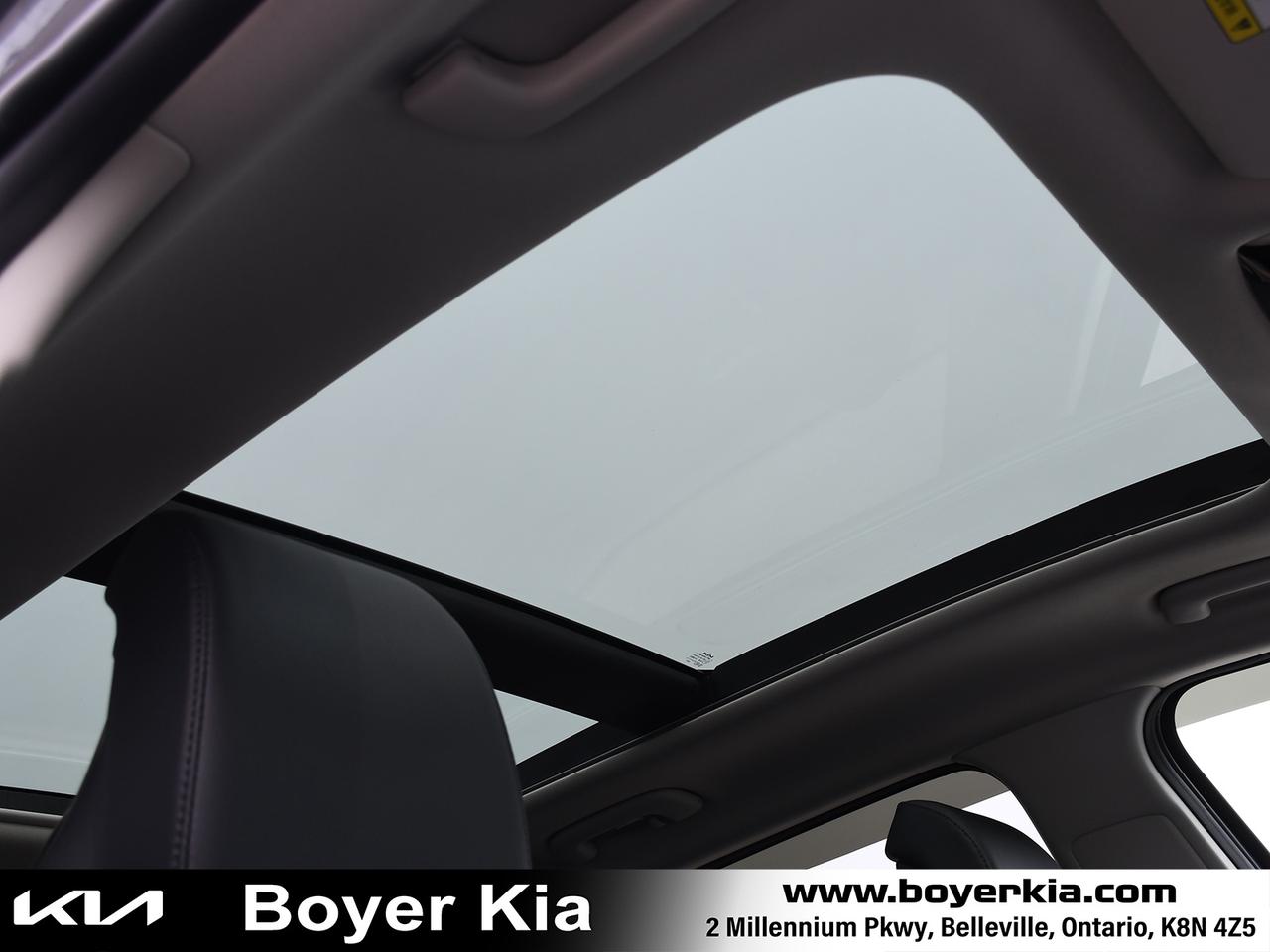 2023 Kia Sportage EX Photo