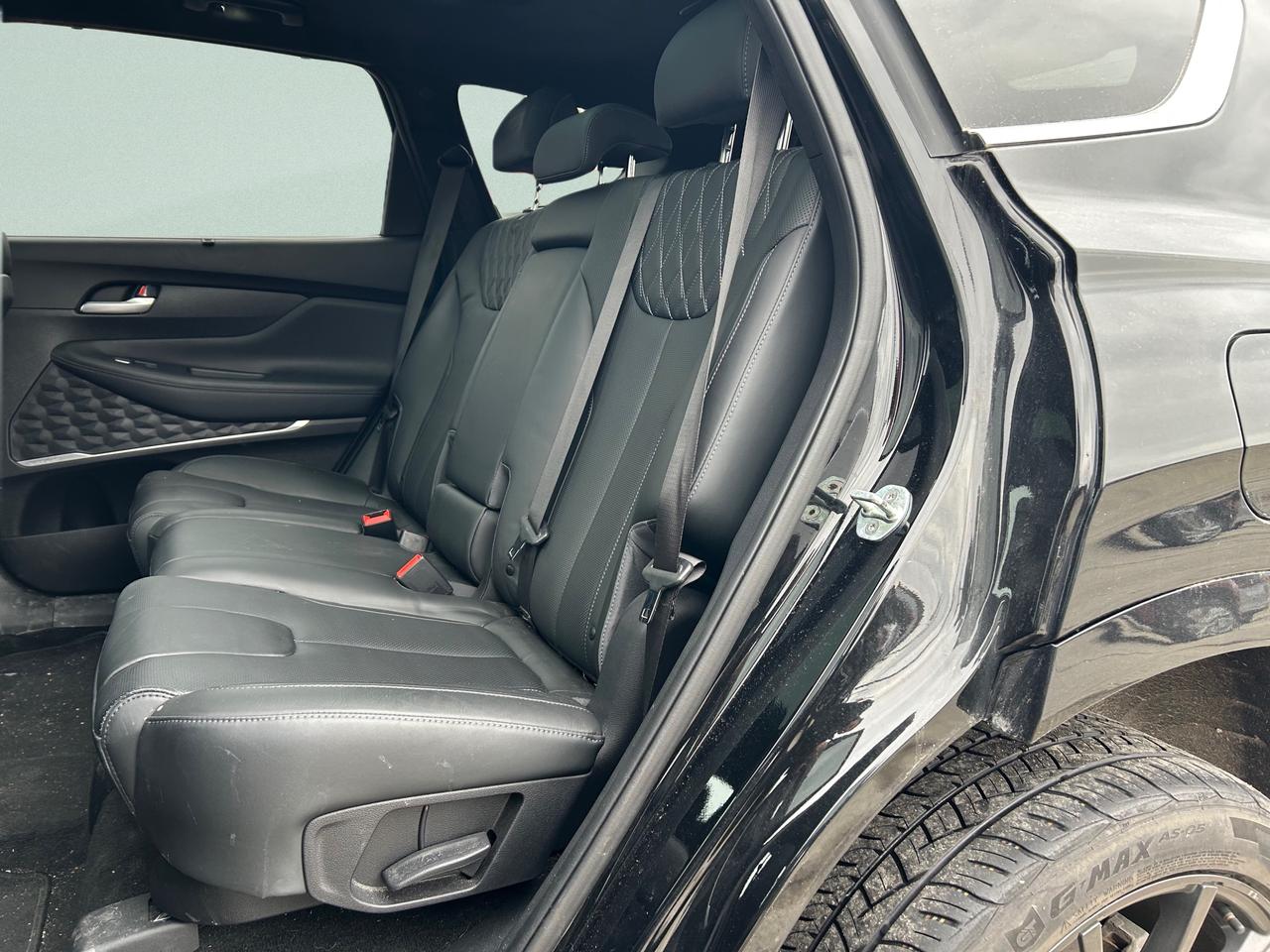 2022 Hyundai Santa Fe Ultimate Calligraphy 4dr All-Wheel Drive Photo