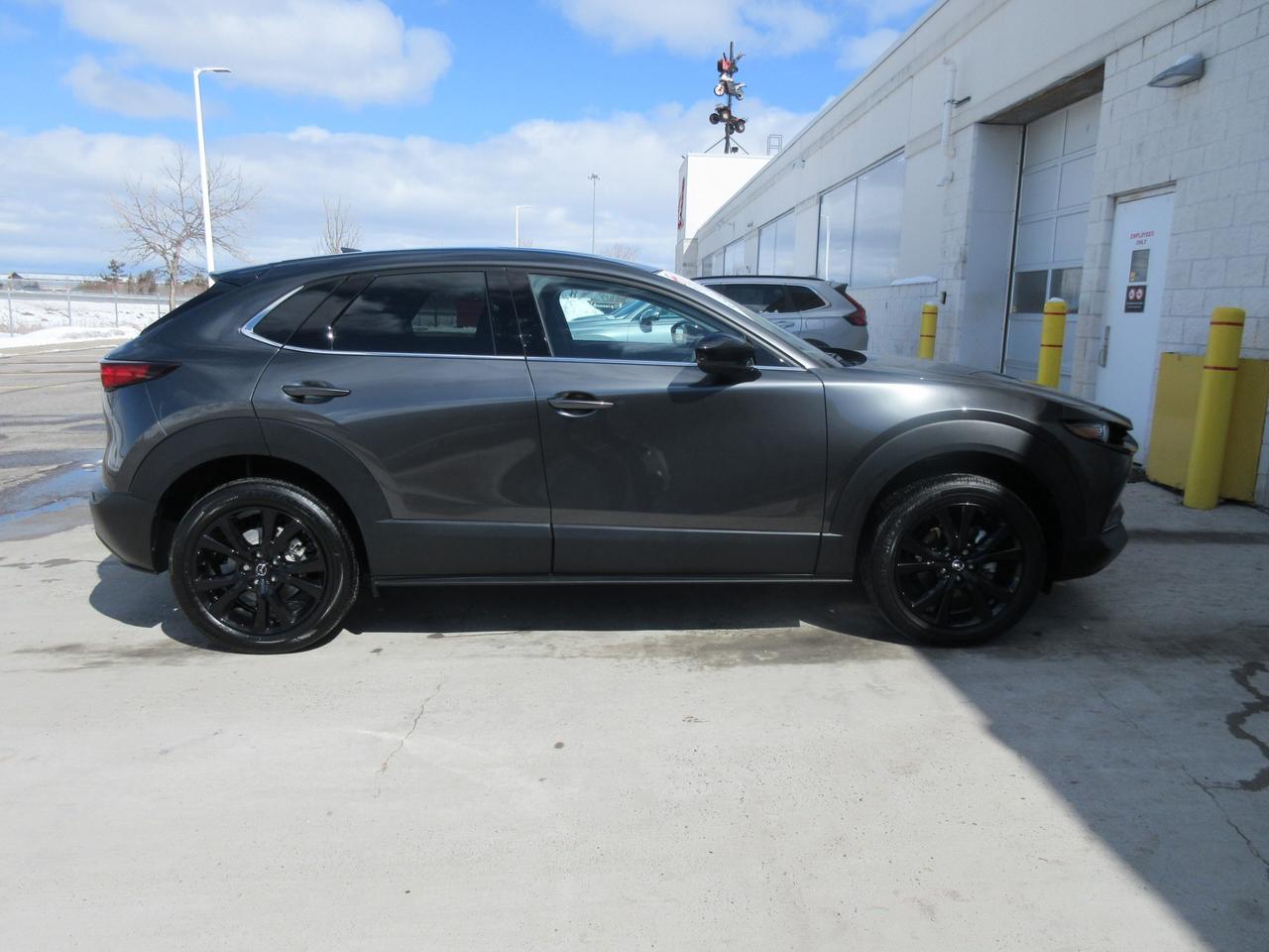 2025 Mazda CX-30 GT w/Turbo 4dr i-ACTIV All-Wheel Drive Sport Utility Photo