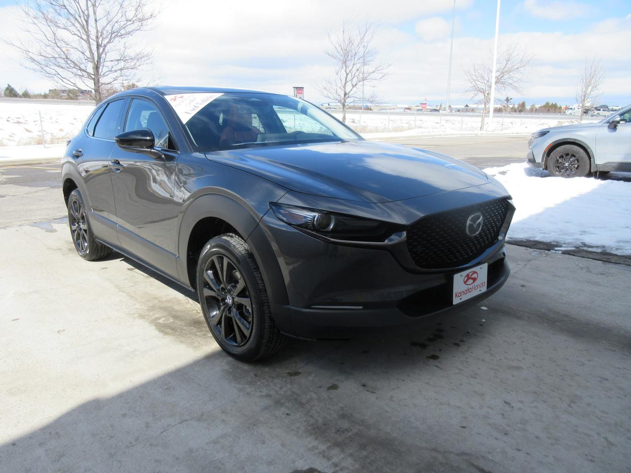 2025 Mazda CX-30 GT w/Turbo 4dr i-ACTIV All-Wheel Drive Sport Utility Photo