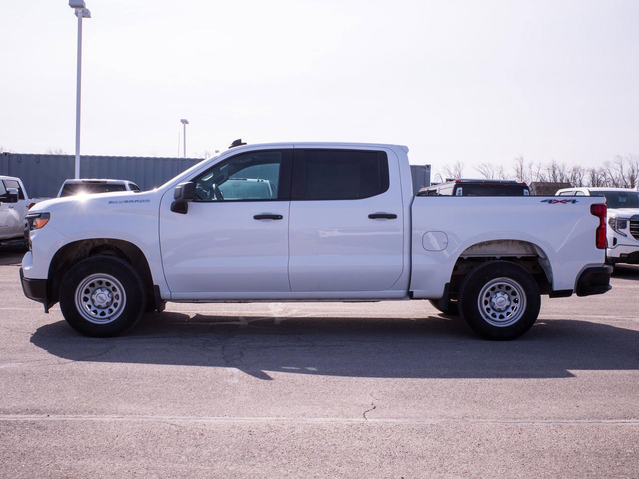 2024 Chevrolet Silverado 1500 Work Truck - Keyless Start   Lane Assist Photo