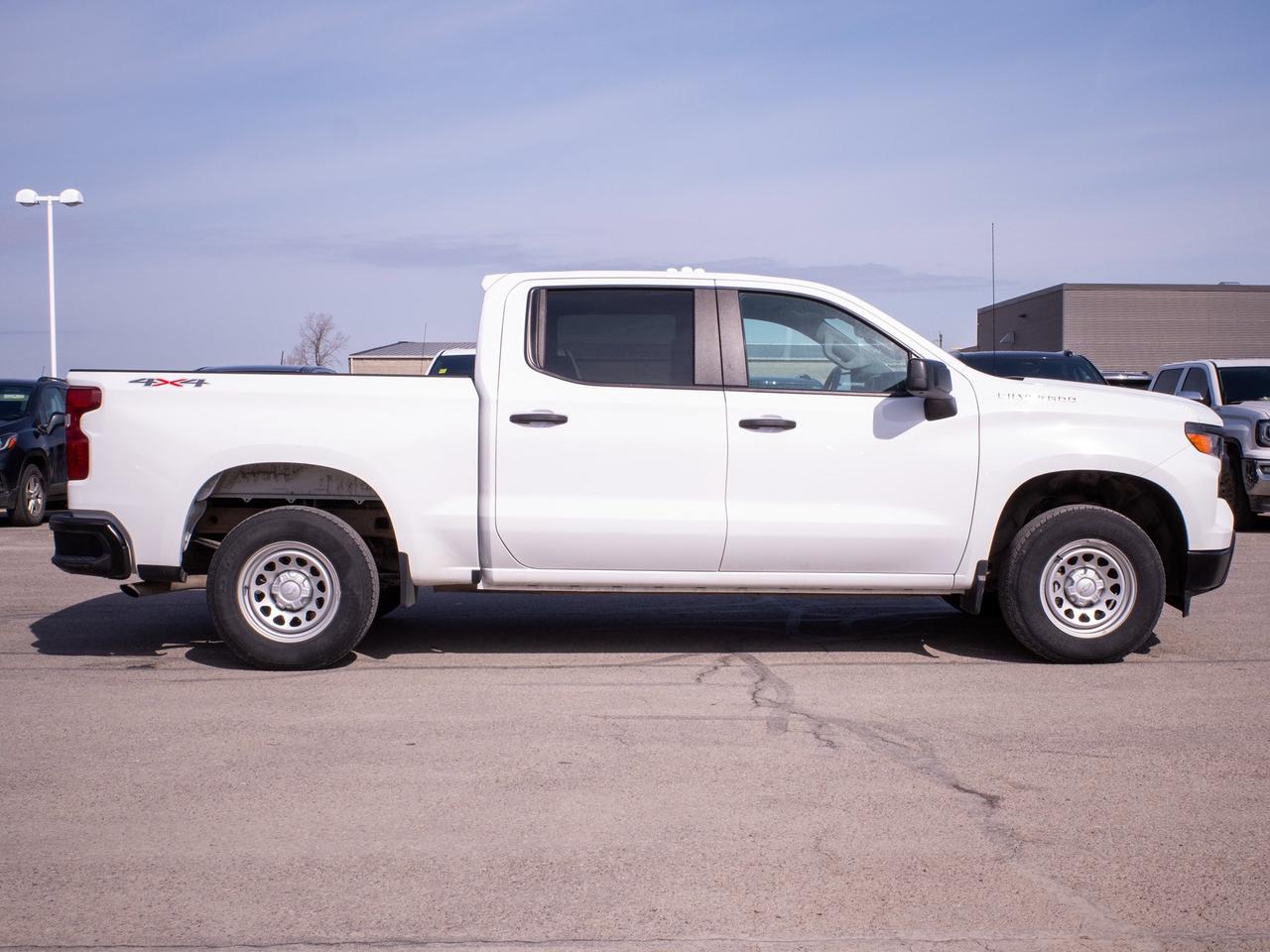 2024 Chevrolet Silverado 1500 Work Truck - Keyless Start   Lane Assist Photo