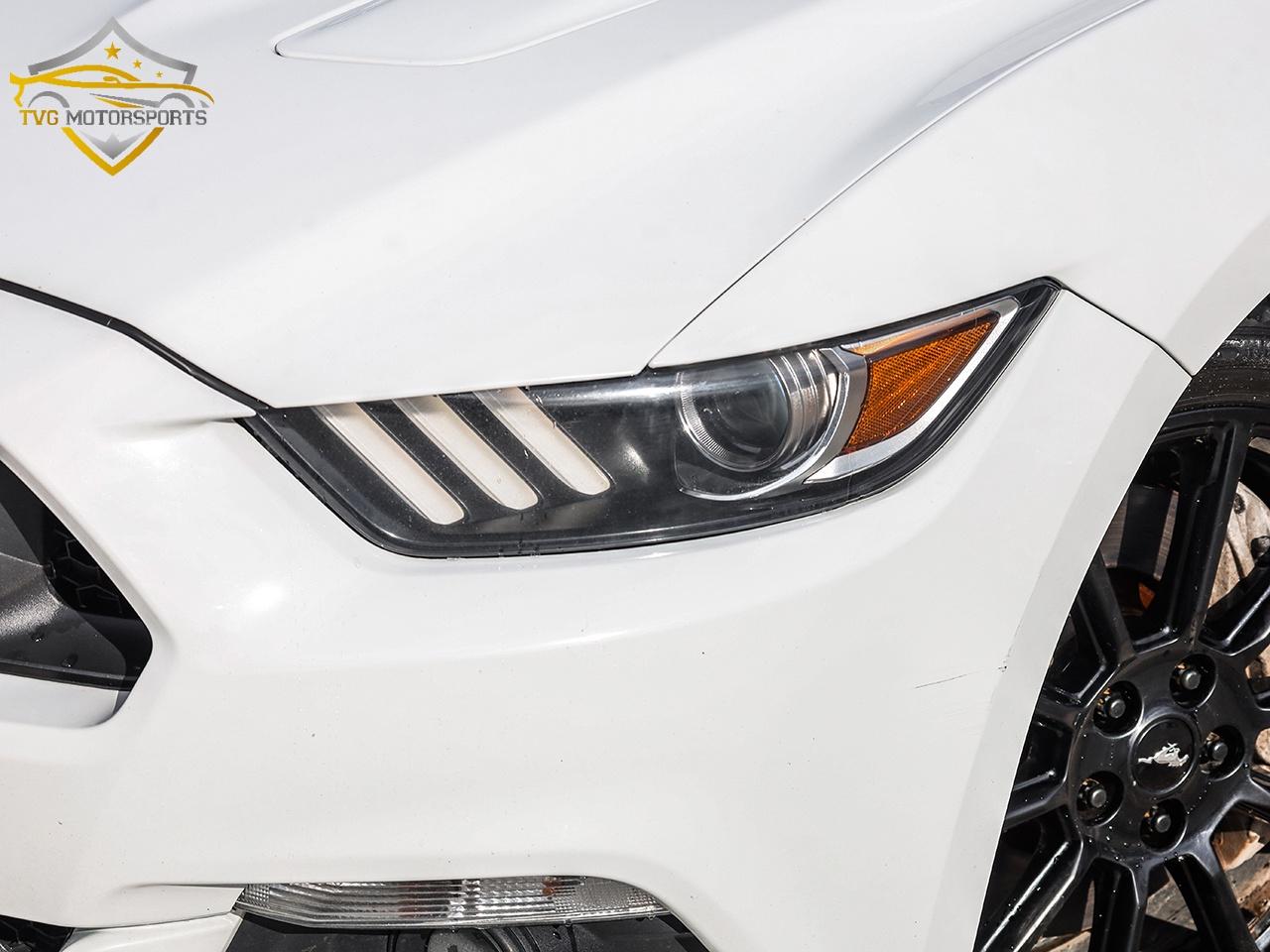 2016 Ford Mustang GT PREMIUM 6SPD MANUAL 5.0 COYOTE - NO ACCIDENTS Photo