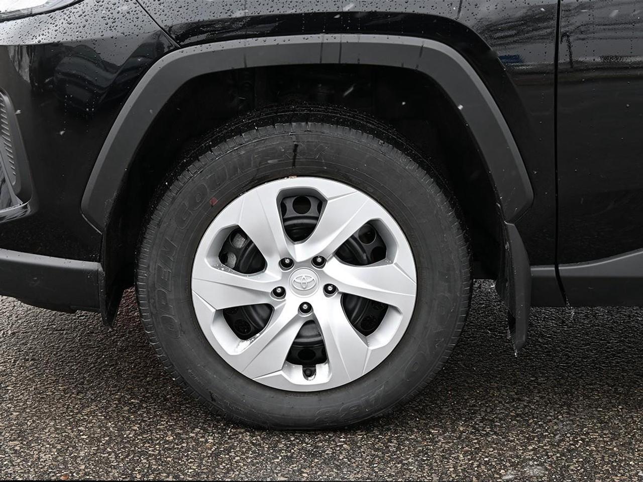 2025 Toyota RAV4 LE 4dr All-wheel Drive Photo