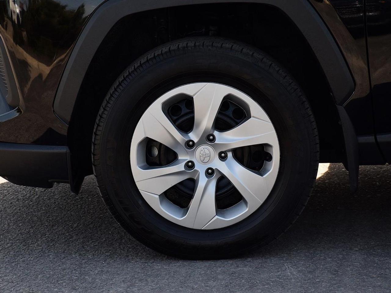 2025 Toyota RAV4 LE 4dr All-wheel Drive Photo
