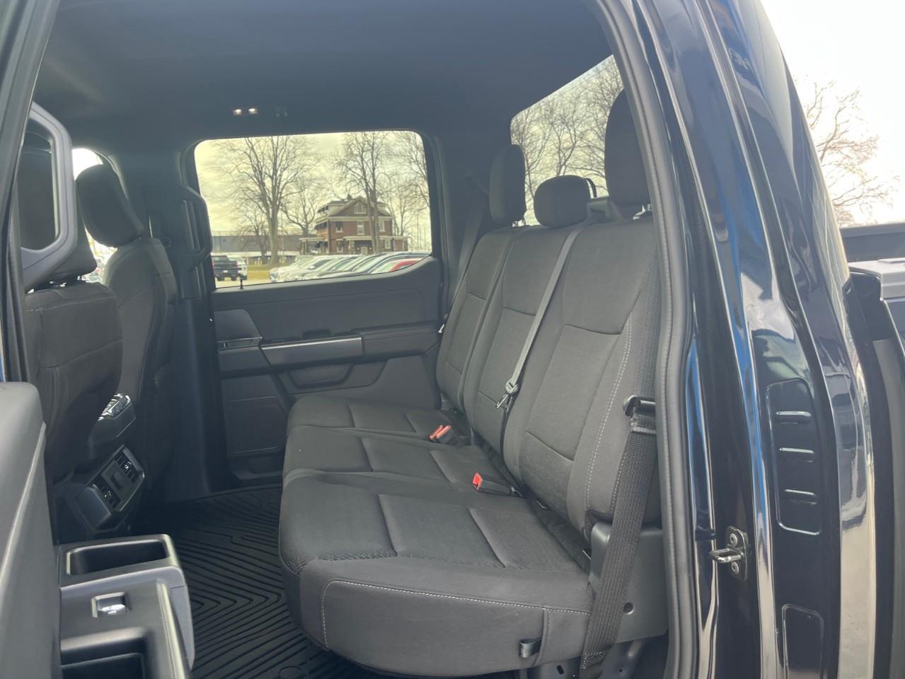 2024 Ford F-150  Photo