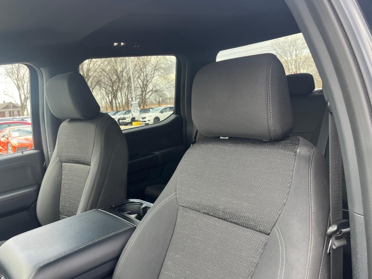 2024 Ford F-150  Photo