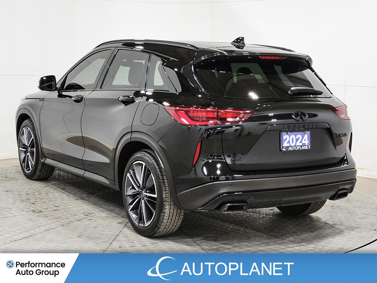 2024 Infiniti QX50 SPORT AWD, Turbo, Navi, Pano Roof, 360 Cam! Photo