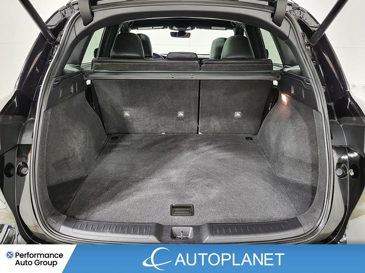 2024 Infiniti QX50 SPORT AWD, Turbo, Navi, Pano Roof, 360 Cam! Photo