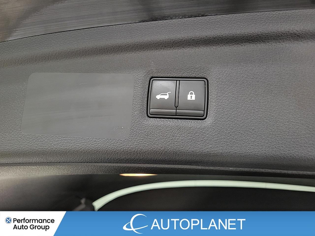 2024 Infiniti QX50 SPORT AWD, Turbo, Navi, Pano Roof, 360 Cam! Photo