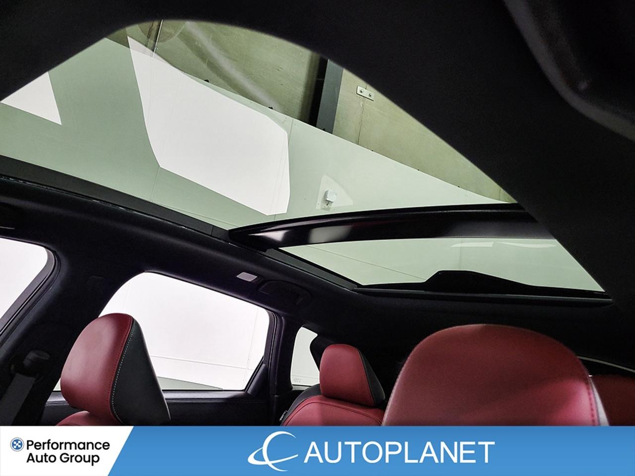 2024 Infiniti QX50 SPORT AWD, Turbo, Navi, Pano Roof, 360 Cam! Photo