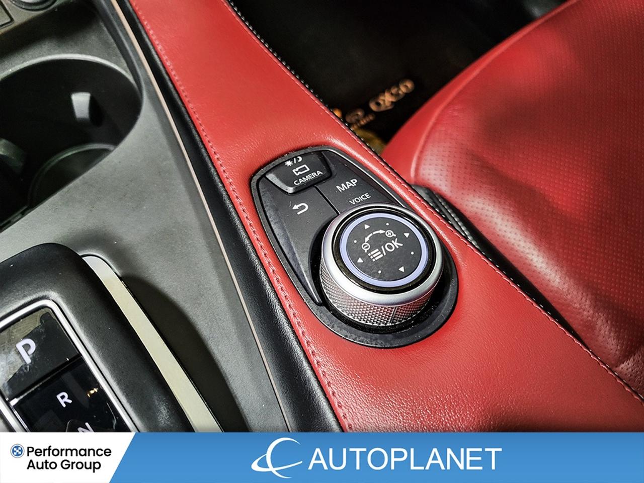 2024 Infiniti QX50 SPORT AWD, Turbo, Navi, Pano Roof, 360 Cam! Photo