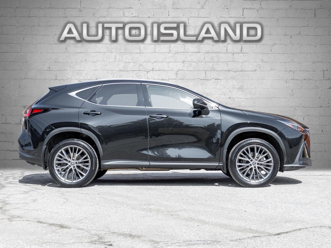 2023 Lexus NX NX 350h AWD Photo2
