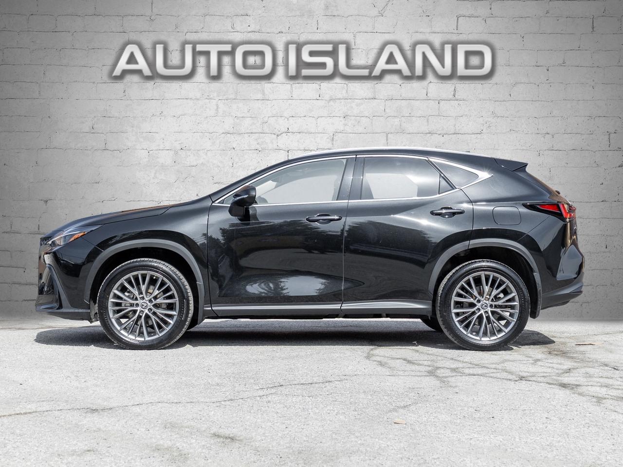 2023 Lexus NX NX 350h AWD Photo4
