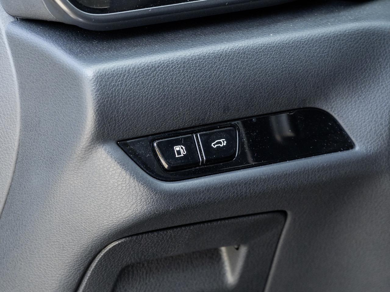 2023 Lexus NX NX 350h AWD Photo