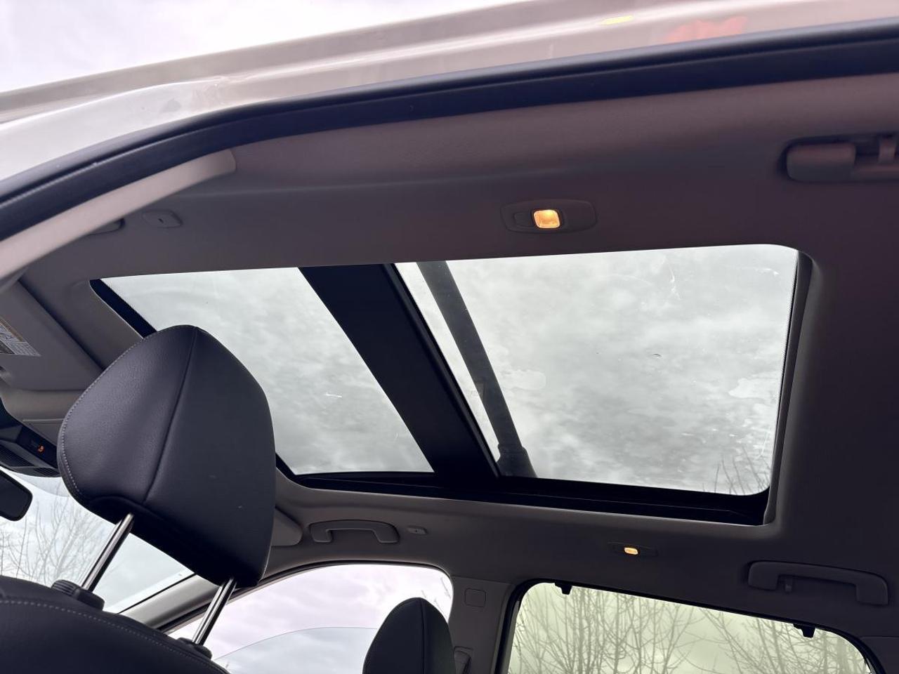 2023 Nissan Rogue SL Photo