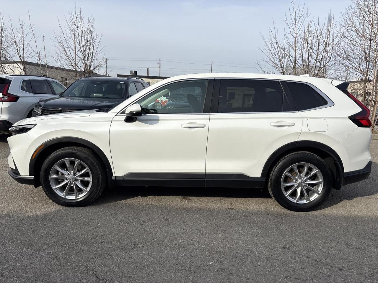 2023 Honda CR-V EX-L Photo4