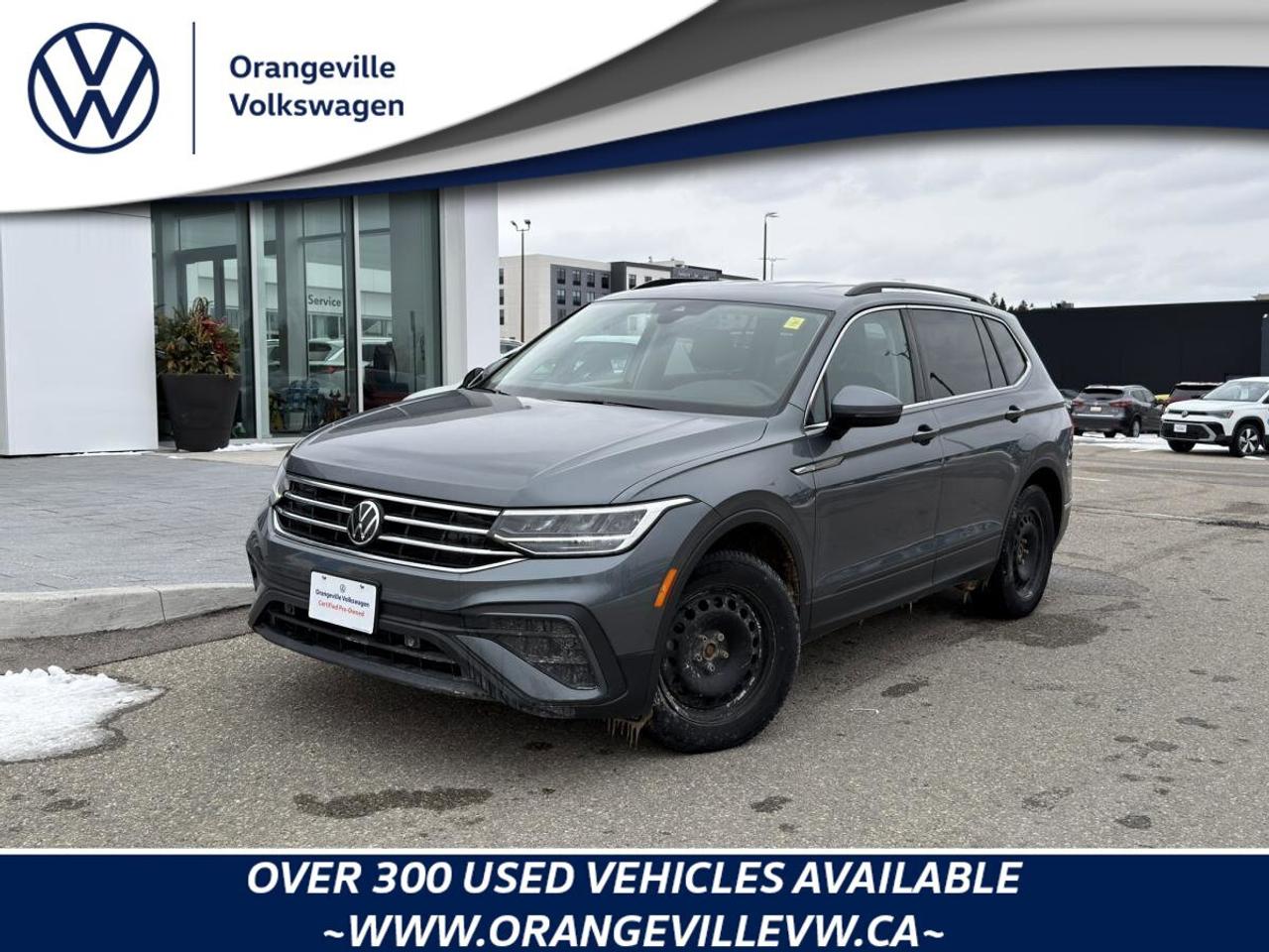 2022 Volkswagen Tiguan  Photo