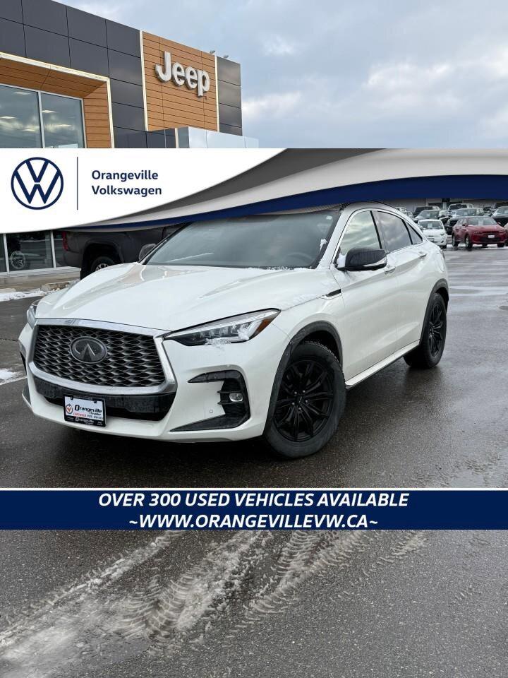 2022 Infiniti QX55  Photo